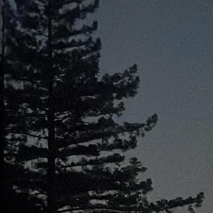 take it away (feat. Yung Demon$) (Explicit)