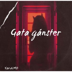 gata gánster (Explicit)