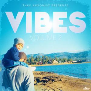 Vibes Vol.2 (Explicit)