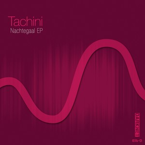 Nachtegaal (Original Mix)