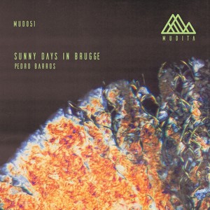 Sunny Days in Brugge (Raffy Peyré Remix)