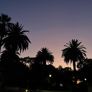 Pa Mi Dama (Explicit)