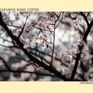 Japanese Kono Coffee