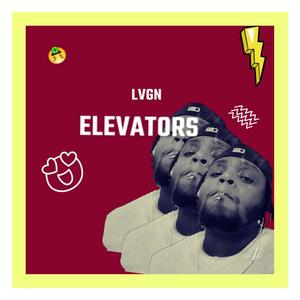 ELEVATORS