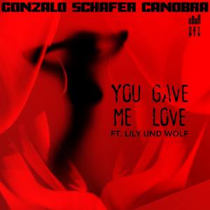 You Gave Me Love(feat. Lily Und Wolf)