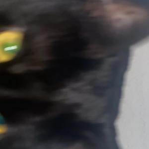 Up2x (feat. Swaywalker) (Explicit)