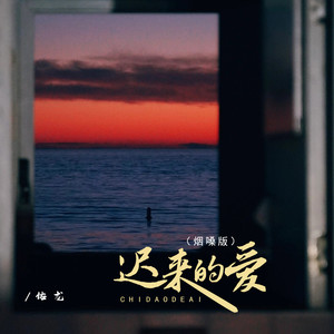 迟来的爱 (烟嗓版)封面