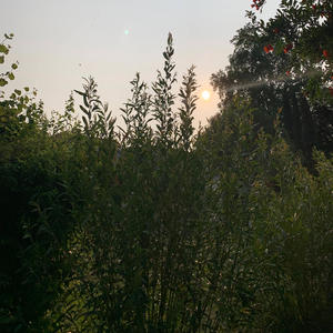 Solitaire (Explicit)