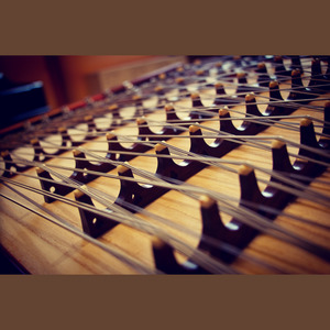 Last of the wilds【扬琴】