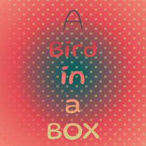 A Bird in a Box