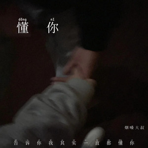 懂你(告诉你我其实一直都懂你)封面