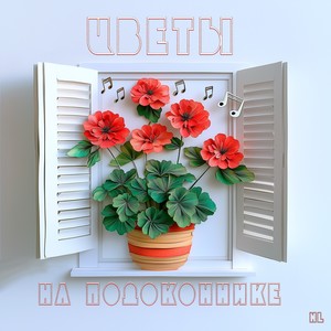 Цветы на подоконнике