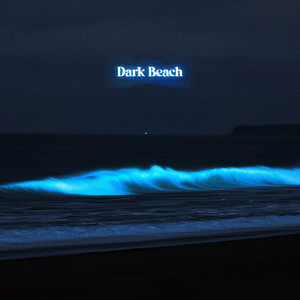 Dark Beach