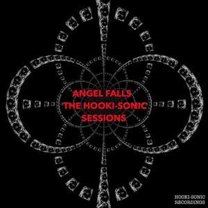 The Hooki-Sonic Sessions