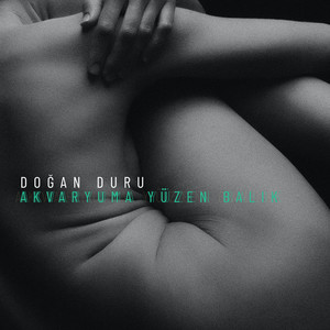 Akvaryuma Yüzen Balık