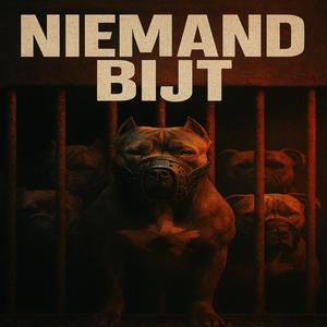 Niemand bijt (Explicit)