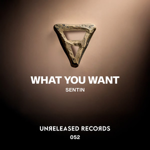 What You Want (Extended Mix)