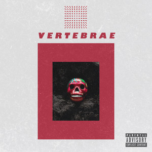 Vertebrae (Explicit)