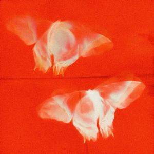 fold on me (feat. vicepoint) (Explicit)