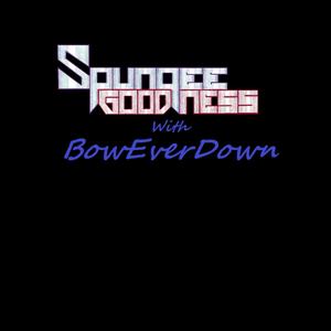 Never Be Whole with BowEverDown