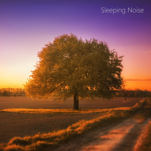 Focusing Sleep White Noise Looped