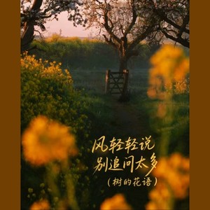 陈不凡 - 风轻轻说别追问太多（树的花语）