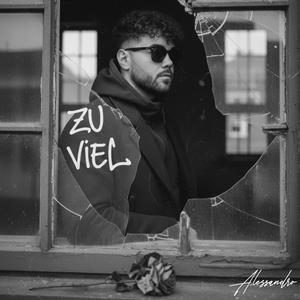 ZU VIEL