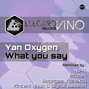 What you say (Vincent Hiest & Digital Session Remix)