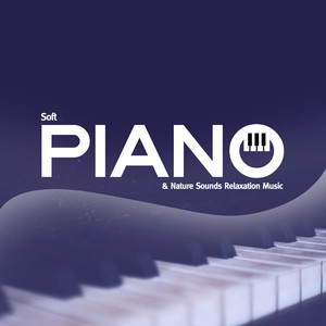 Bird Sounds Over Piano Music