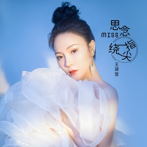 思念绕指尖 (DJheap九天版)