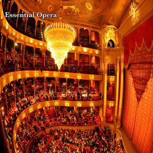 La Bohème - Che Gelida Manina