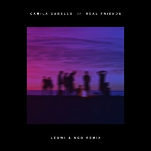 Real Friends (Leowi & NGO Remix)