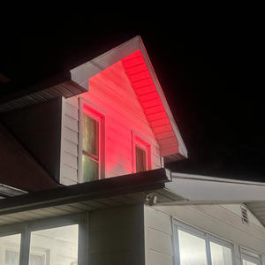 She Loves Me, She Loves Me Not (Explicit)