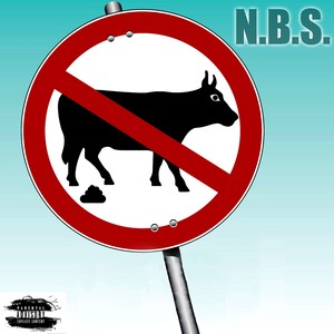 N.B.S. (feat. NoBullshit Shane) [Explicit]