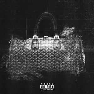 goyard bag (Explicit)