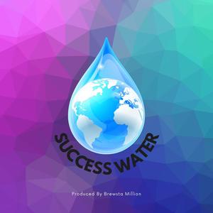 Success Water