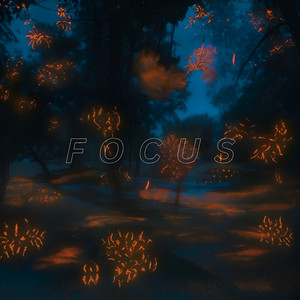 Focus