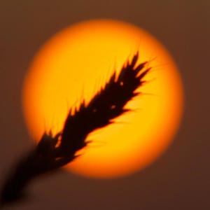 I Miss You (Extended Instrumental Mix)