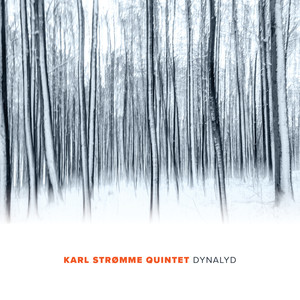 Karl Strømme Quintet: Dynalyd