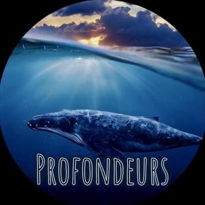 Profondeurs