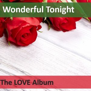 Wonderful Tonight: The Love Album