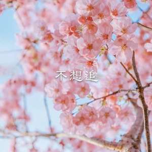 大飞 - 败家娘们儿