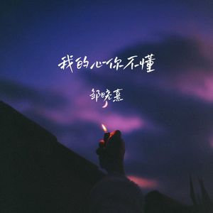 我的心你不懂