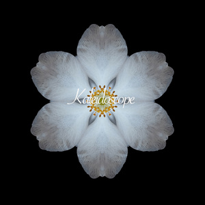 Kaleidoscope (Original Mix)