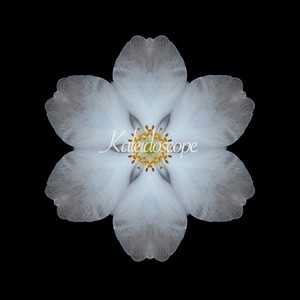 Kaleidoscope (Original Mix)