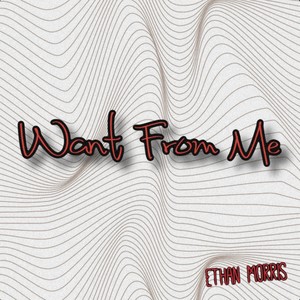 Want From Me