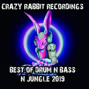 Best of Drum and Bass N Jungle 2019 (Explicit)