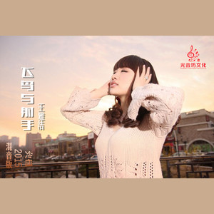 王雅洁-飞鸟与射手无损版 (光音坊DJ冷血2015Mix)