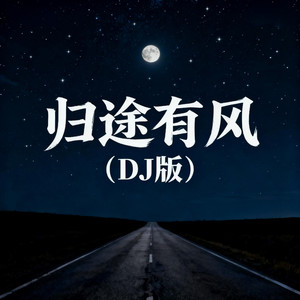 归途有风 (DJ阿能版)