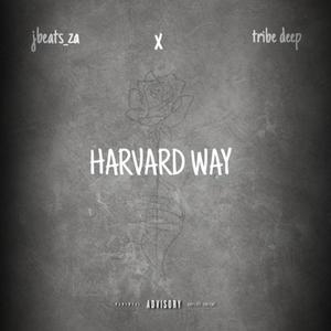 Harvard wayy (Explicit)